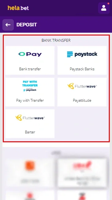 Helabet Deposit Process