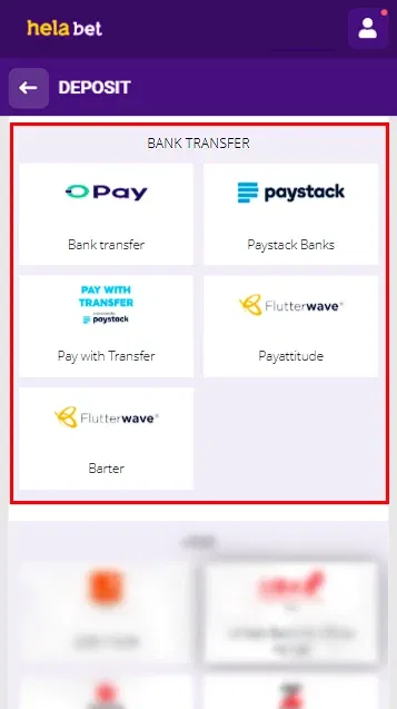 Helabet Deposit Process