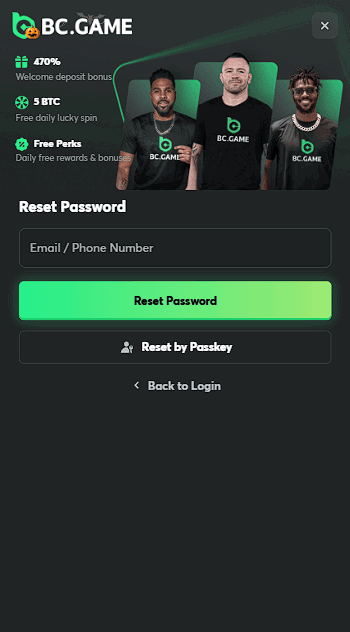BC.Game Password Recovery