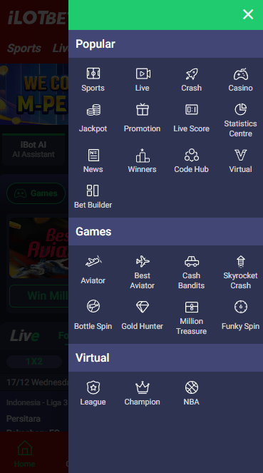 Mobile Version of the iLOTBET Website