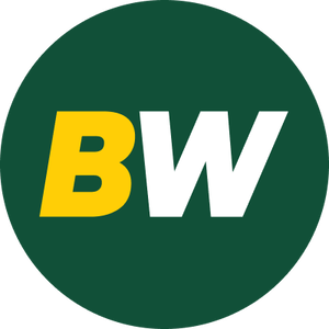 betwinner logo