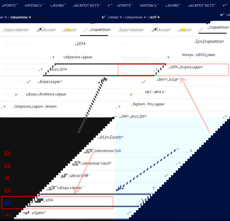 How to place a bet on BetKing website?