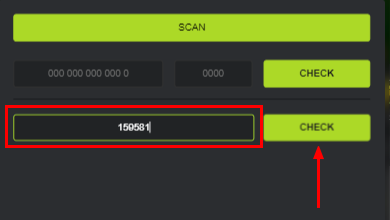 Fields for entering a special code