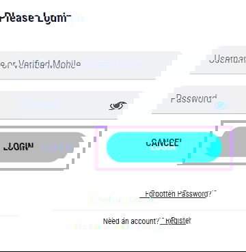 Login