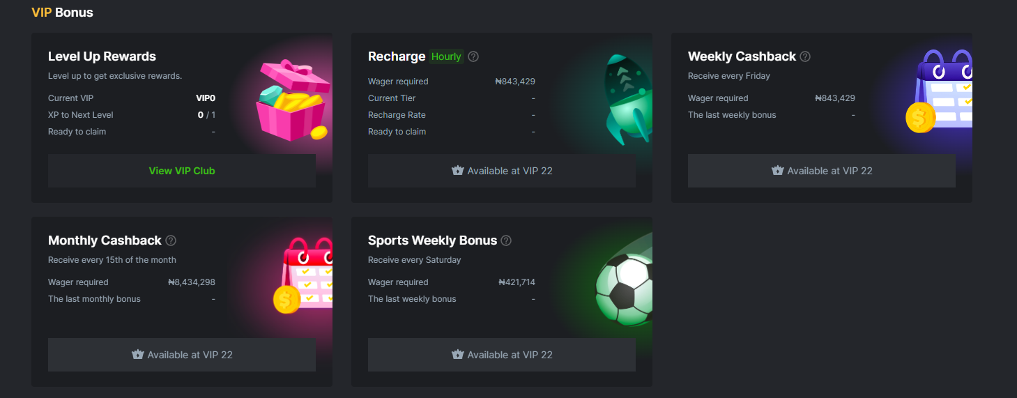 VIP bonus program BC. Program