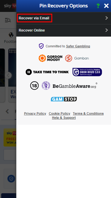 "Recover via Email" section