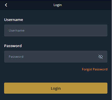 Autorisation form on Betfarm