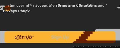 terms conditions
