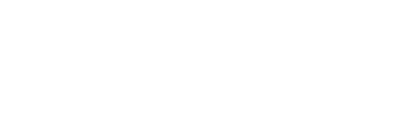 premierbet logo