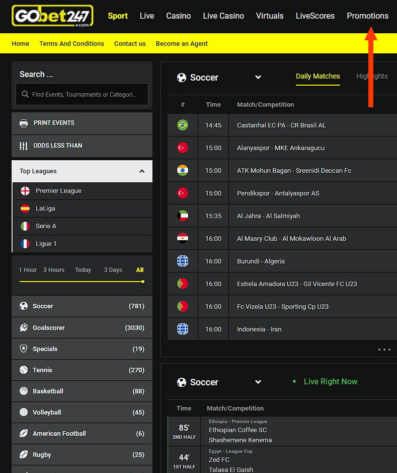 Promotion section on the website Gobet247