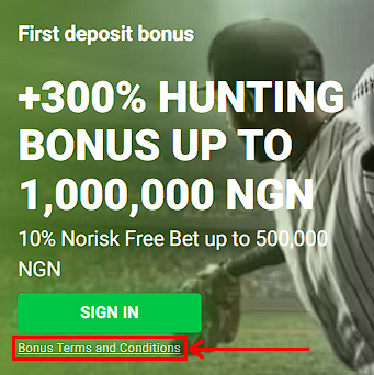 Terms and conditions welcome bonus at N1bet