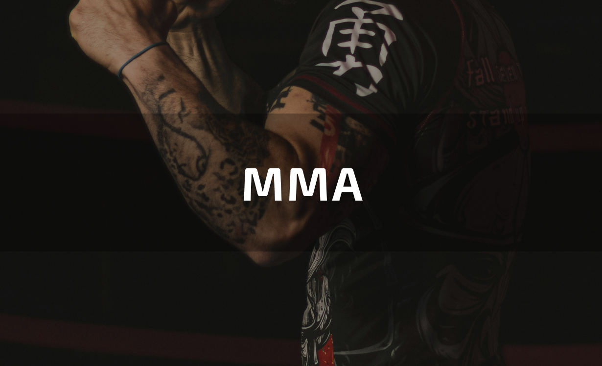 Best UFC betting site