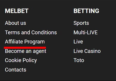 Affiliate Program section