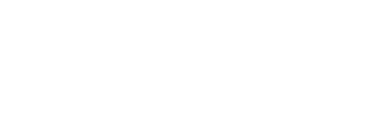 Paripesa logo