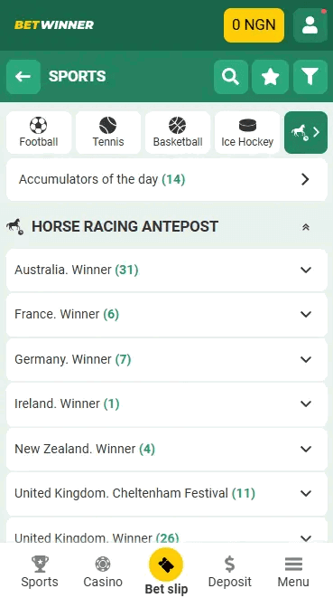 Horse Racing On the BetWinner Betting Company In Nigeria